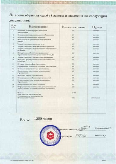 Образец приложения оборотная сторона (аттестационная работа) по программе Методист. Организация методической работы в дошкольном образовании