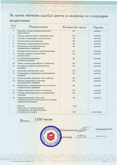Образец приложения оборотная сторона (аттестационная работа) по программе Перманентный макияж