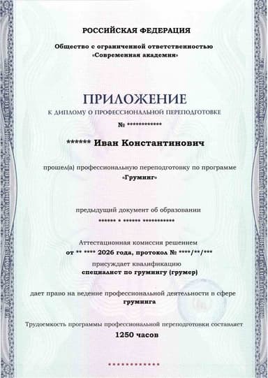 Образец приложения лицевая сторона (итоговое тестирование) по программе Груминг