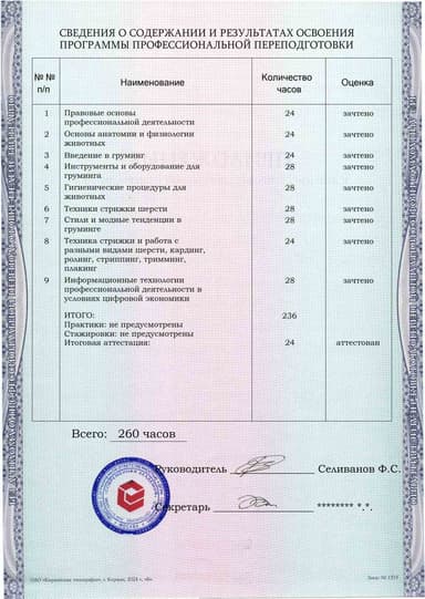 Образец приложения оборотная сторона (итоговое тестирование) по программе Груминг