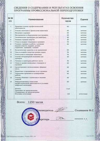 Образец приложения оборотная сторона (итоговое тестирование) по программе Груминг