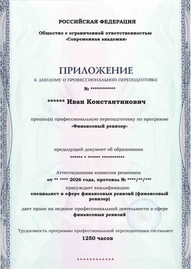 Образец приложения лицевая сторона (итоговое тестирование) по программе Финансовый ревизор
